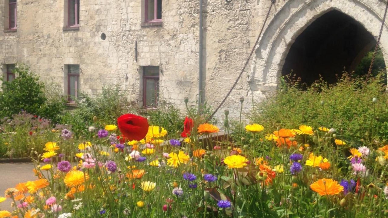 Photo of Outdoor in Enquin-lez-Guinegatte