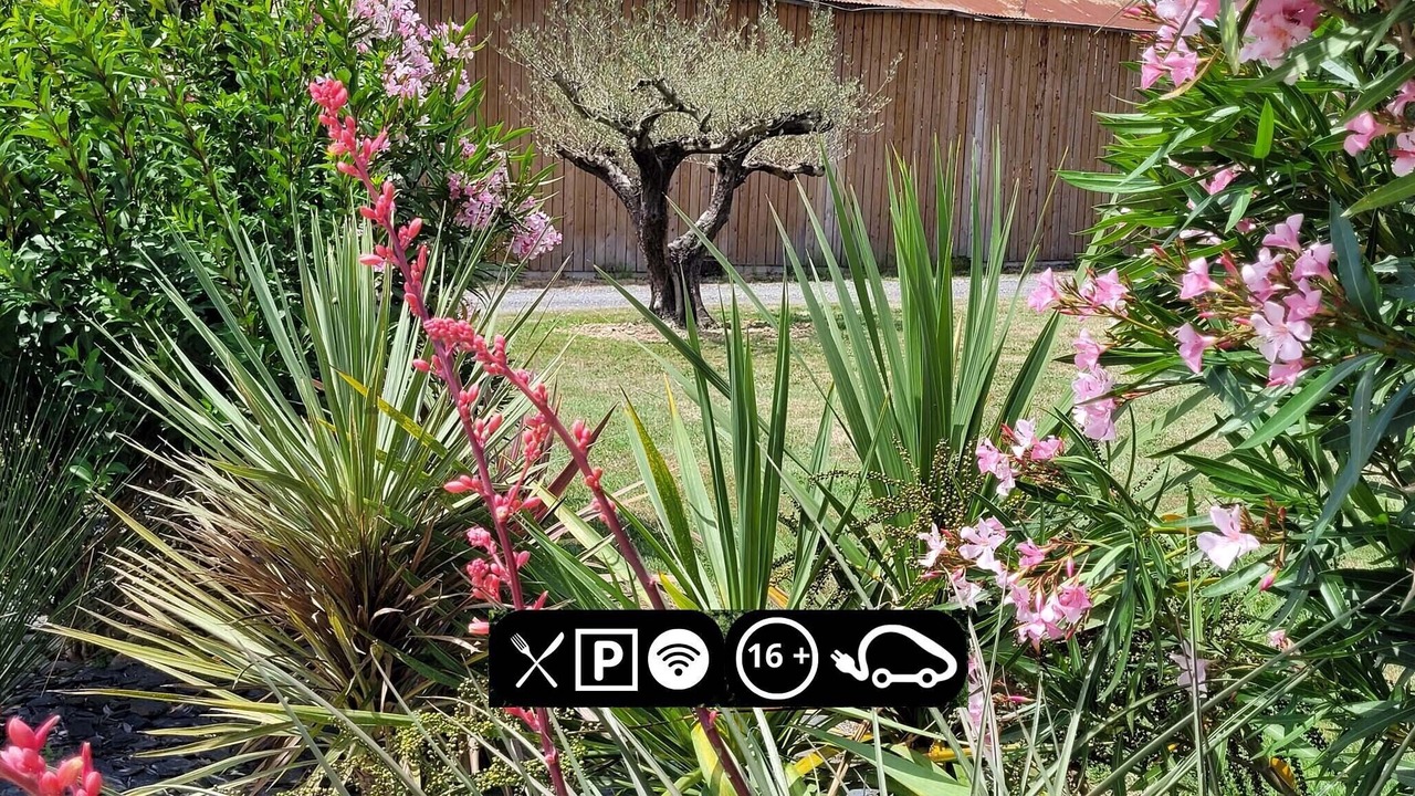 Photo of Outdoor in Chaniers