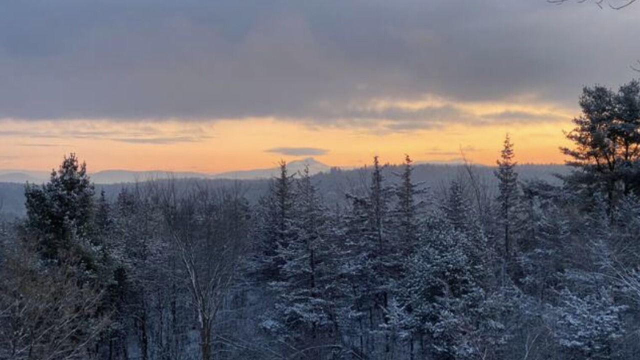 Photo of Others in Charlotte