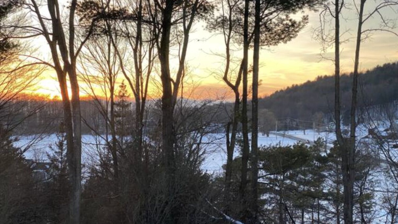 Photo of Others in Charlotte