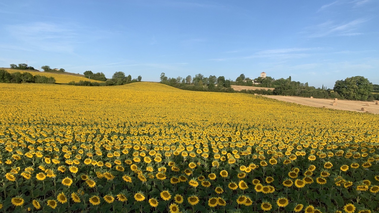 Photo of Outdoor in Roquecor