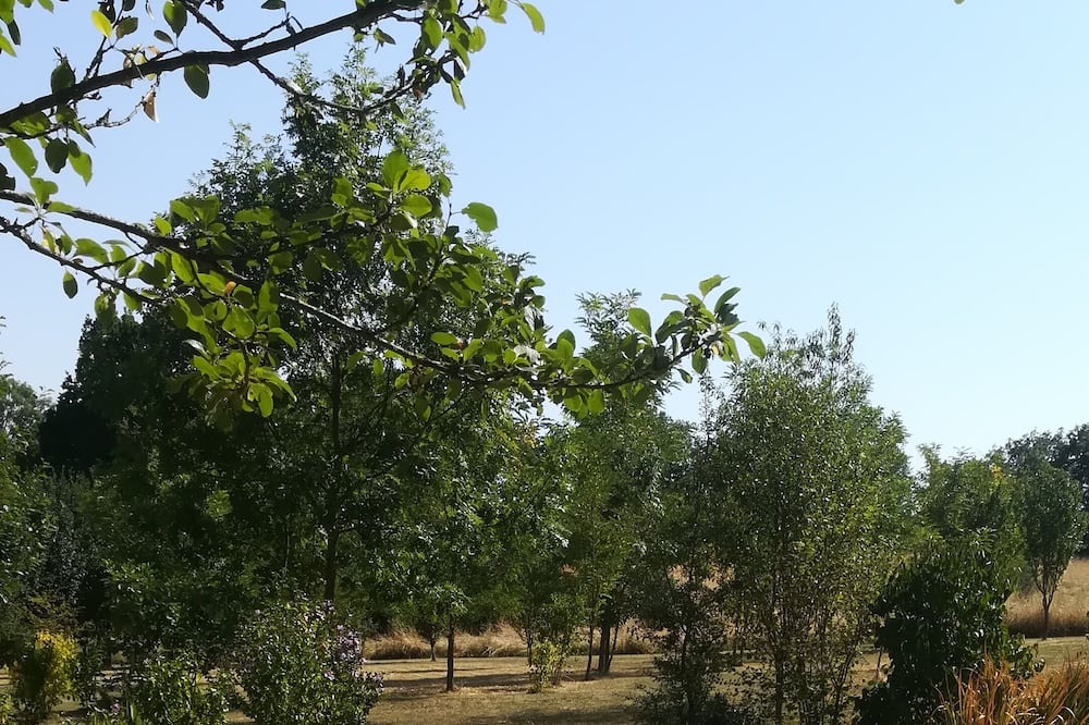 Photo of Outdoor in Villeneuve d'Aveyron