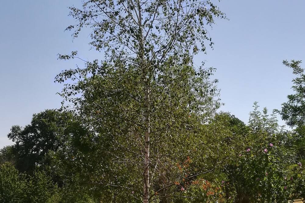 Photo of Others in Villeneuve d'Aveyron