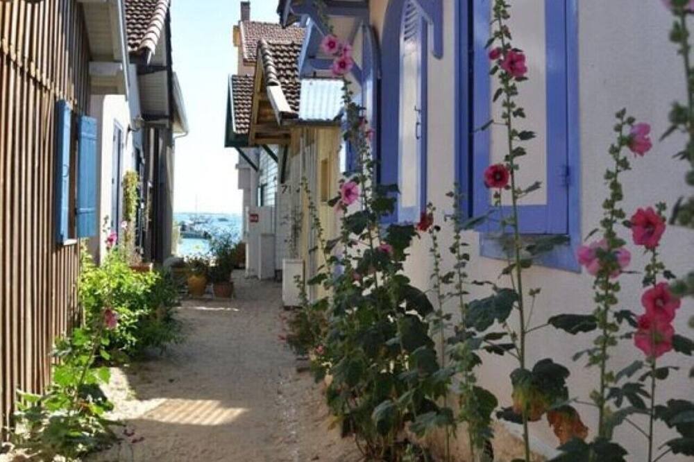 Photo of Outdoor in Saint-Aubin-de-Medoc
