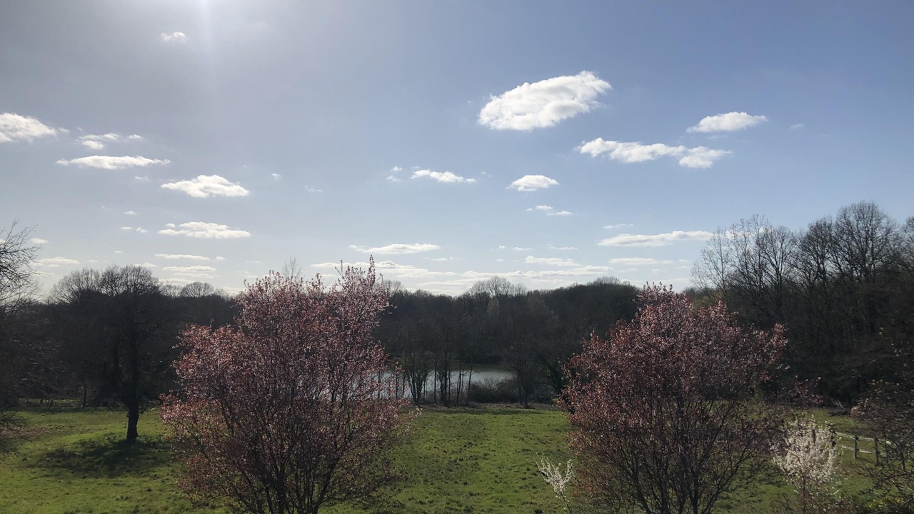 Photo of Outdoor in Bouloire