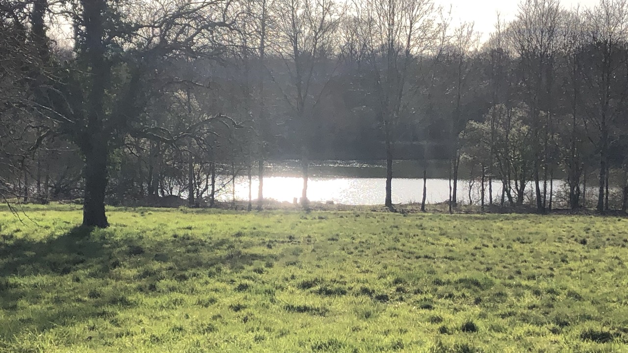 Photo of Outdoor in Bouloire