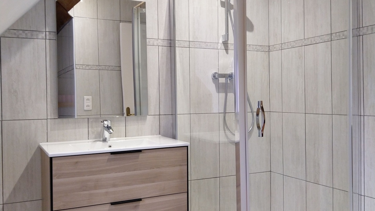 Photo of Bathroom in Bouloire