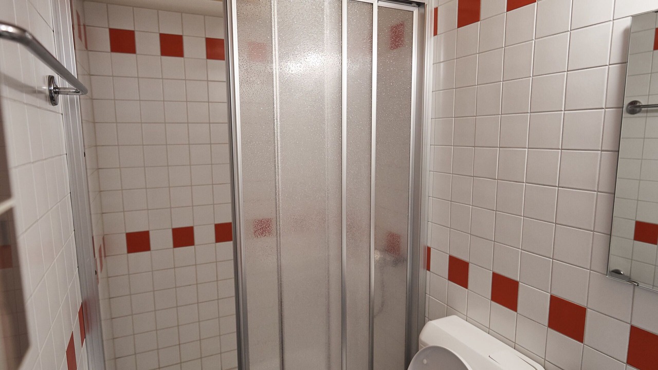 Photo of Bathroom in Glarus