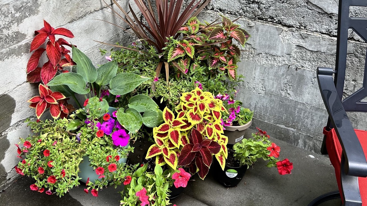 Photo of Outdoor in Snohomish