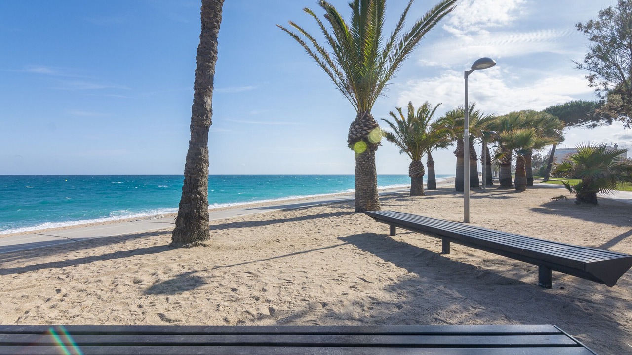 Photo of Others in Pineda de Mar