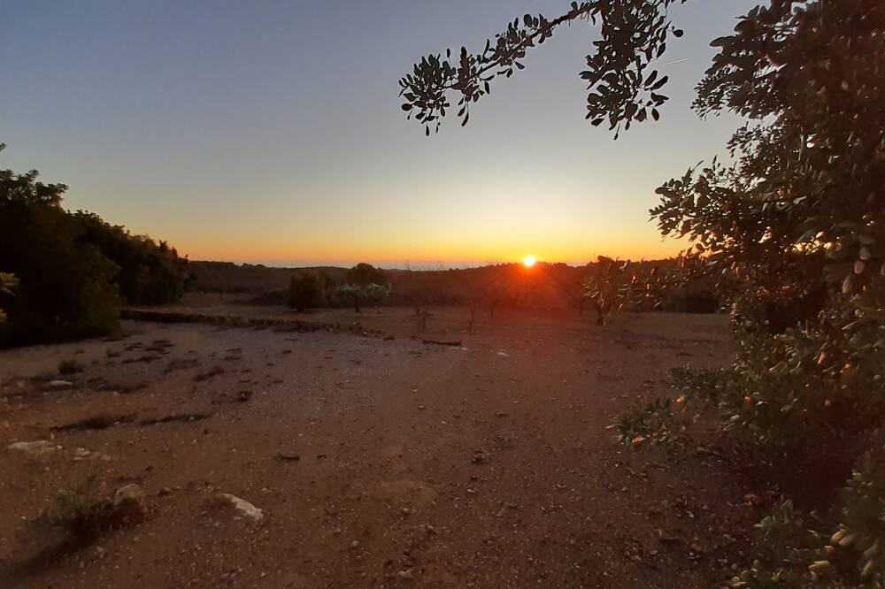 Photo of Outdoor in Vilanova d'Alcolea