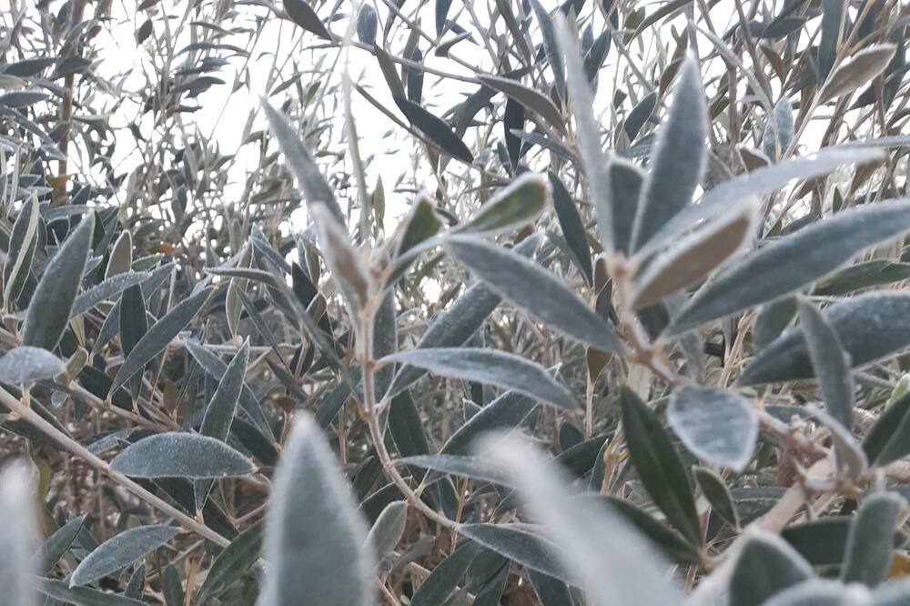 Photo of Outdoor in Vilanova d'Alcolea