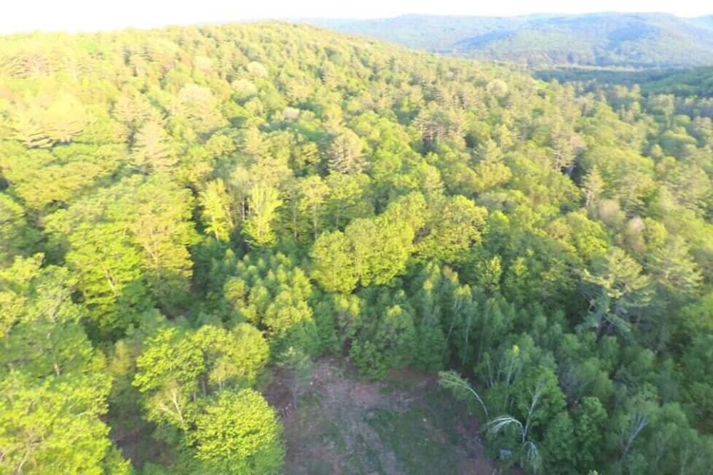 Photo of Others in Williamsville