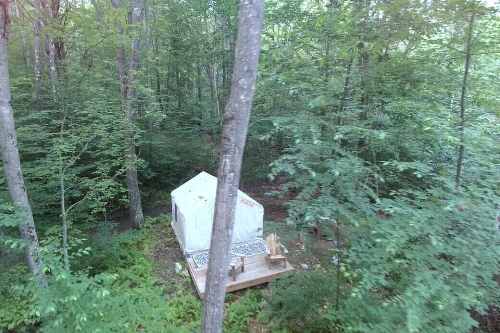 Photo of Others in Williamsville