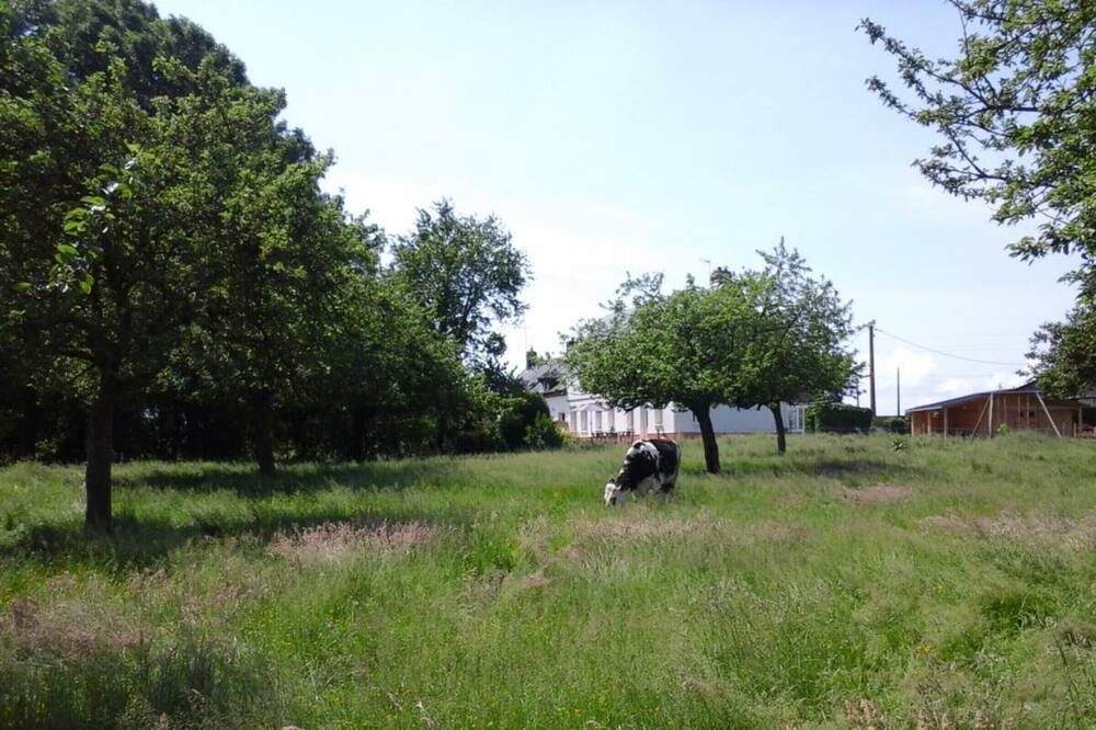 Photo of Outdoor in Pissy-Poville