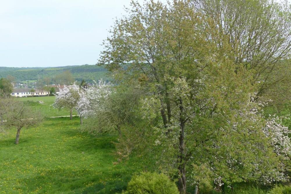 Photo of Outdoor in Pissy-Poville