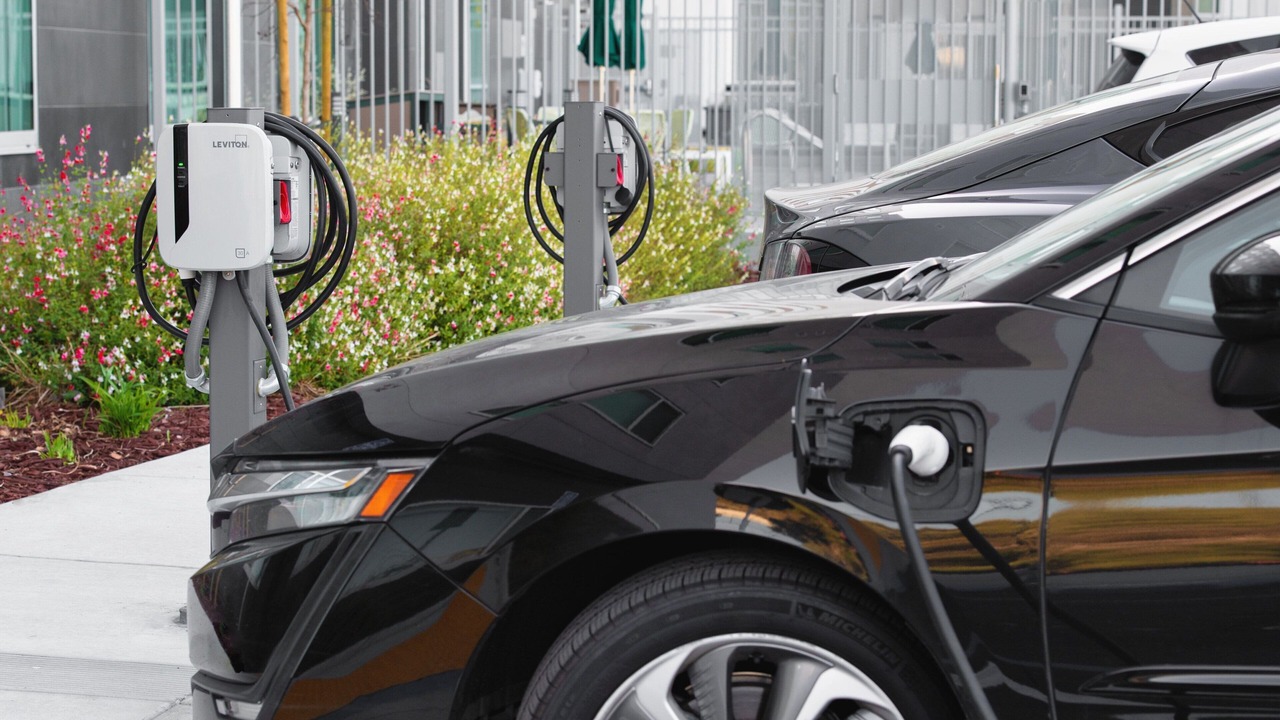 Photo of Others in Milpitas