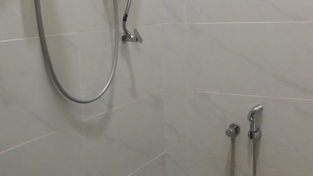Photo of Bathroom in Sepang