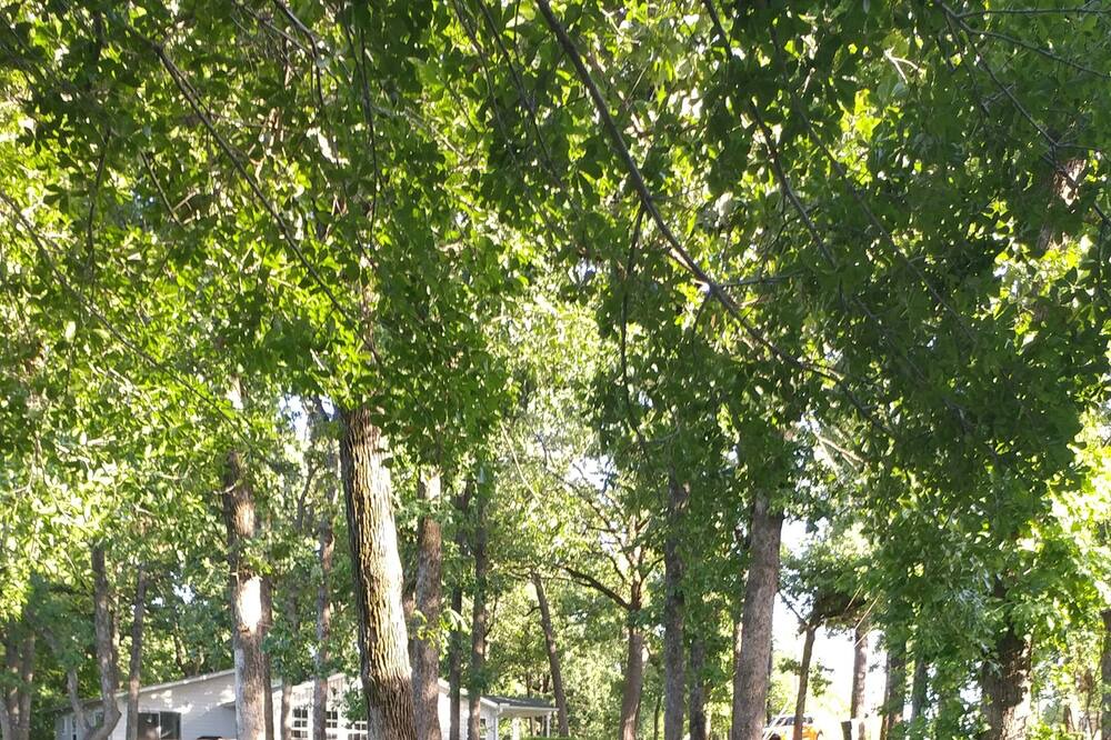 Photo of Outdoor in Malakoff