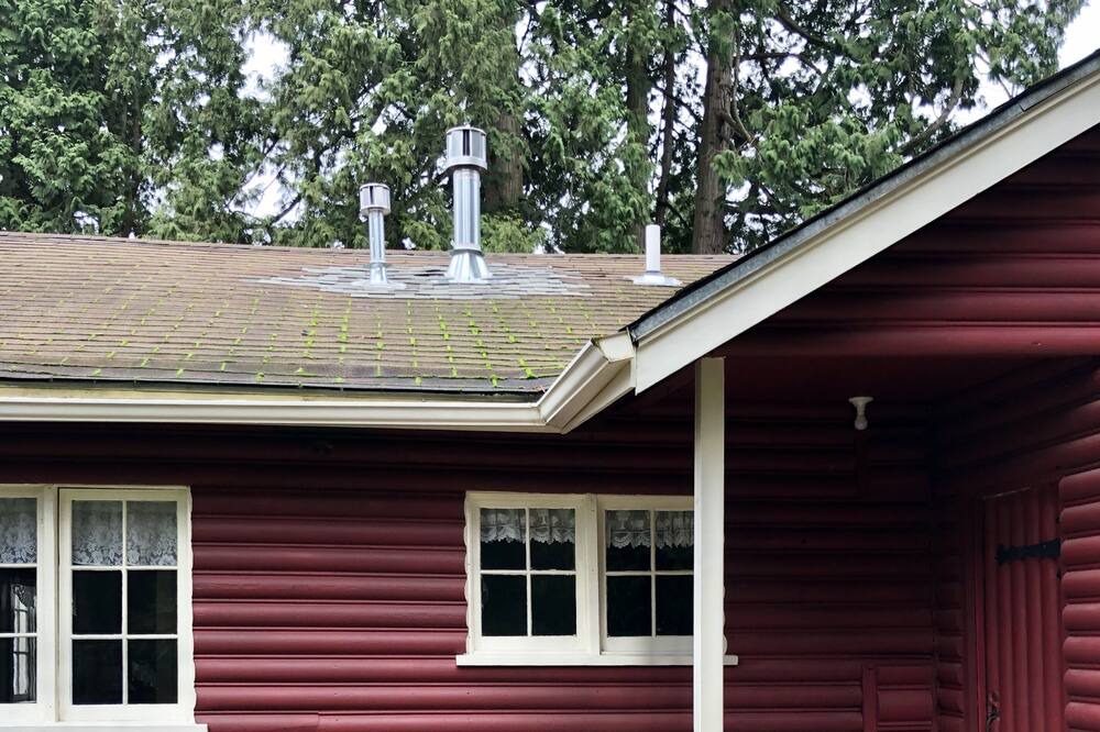 Photo of Others in Birch Bay