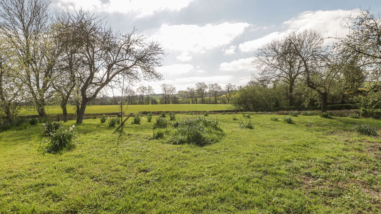 Photo of Others in Yeovil