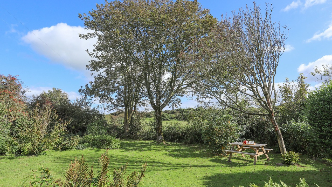 Photo of Others in Bodorgan