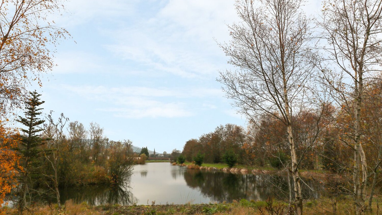 Photo of Others in Perth