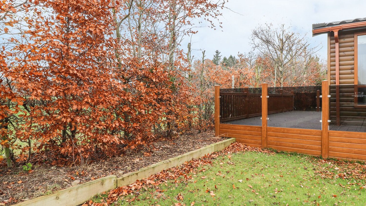 Photo of Others in Perth