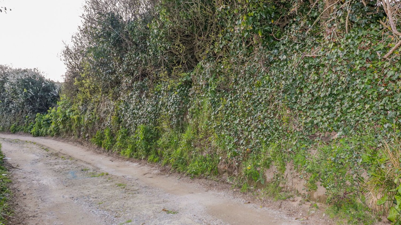 Photo of Others in Perranporth