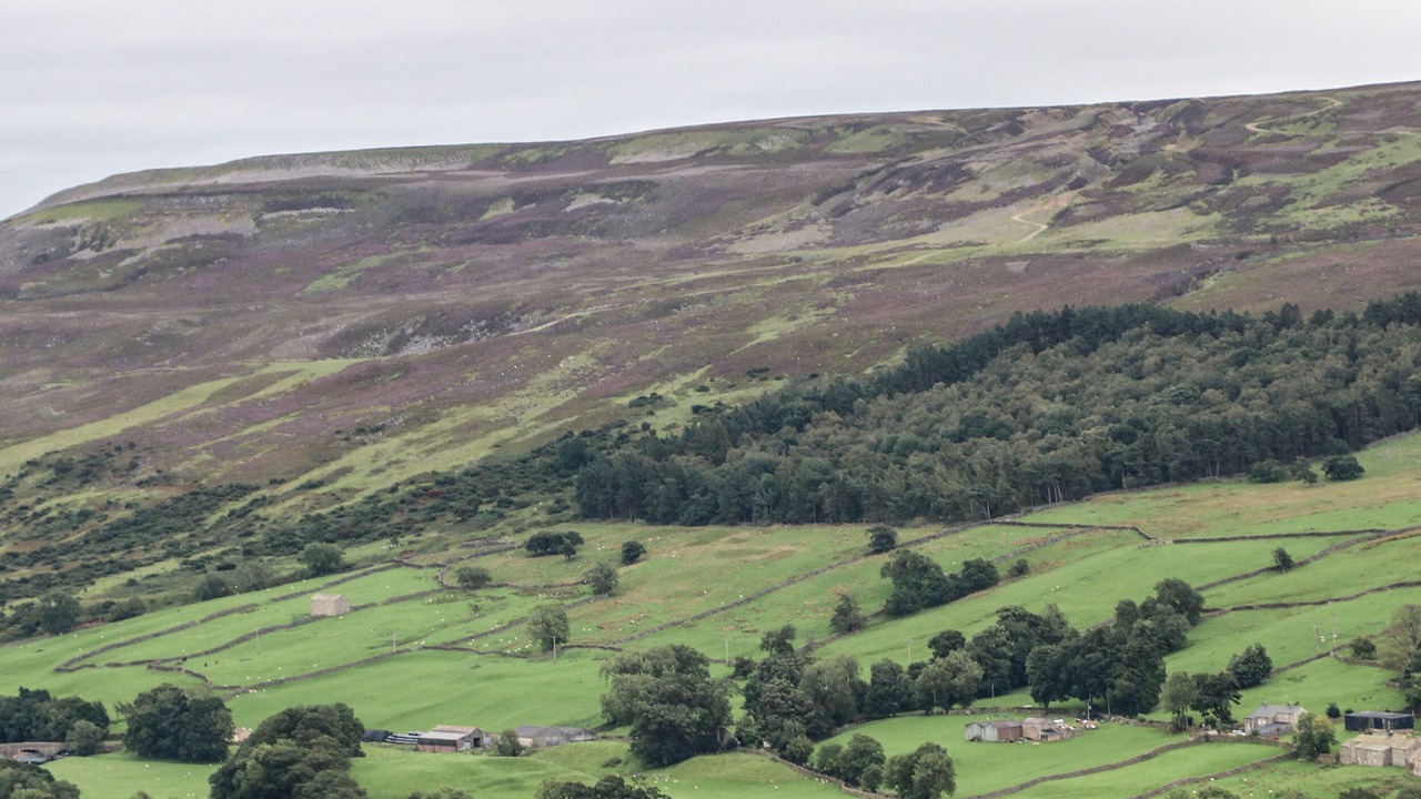 Photo of Others in Feetham