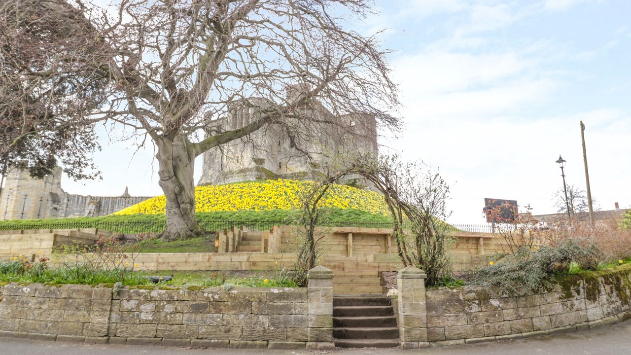 Photo of Others in Warkworth