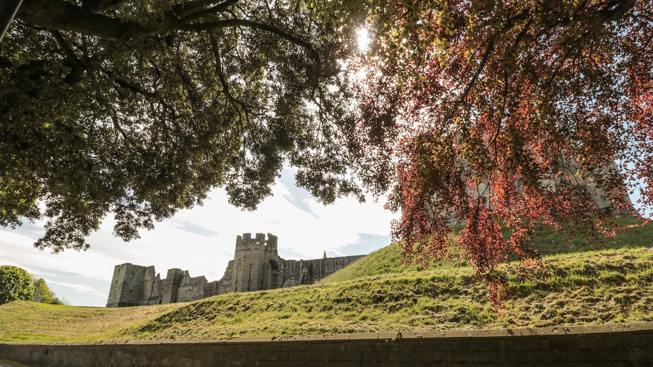 Photo of Others in Warkworth