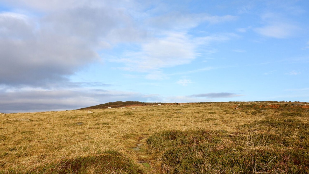 Photo of Others in Dartmoor Forest