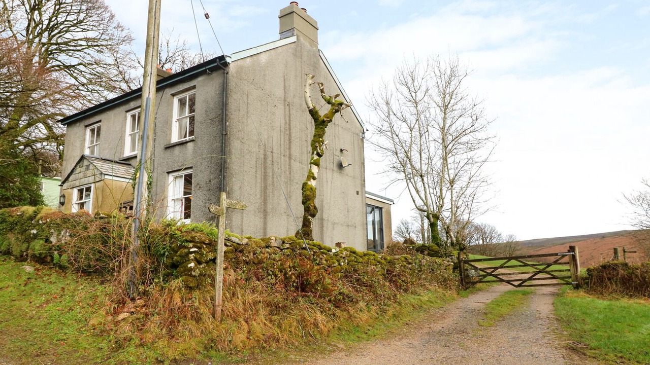 Photo of Others in Dartmoor Forest