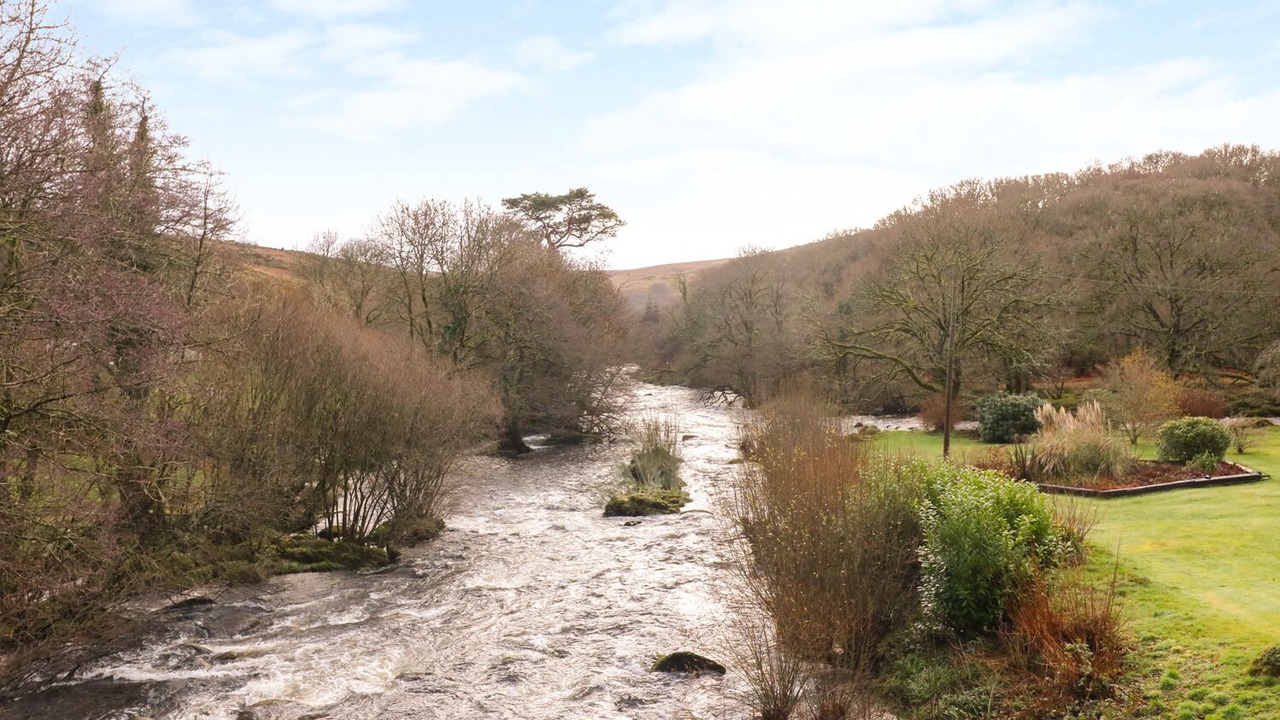 Photo of Others in Dartmoor Forest