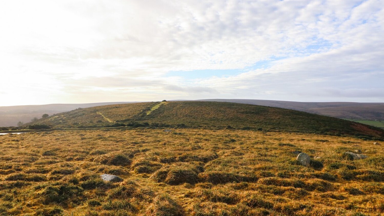 Photo of Others in Dartmoor Forest