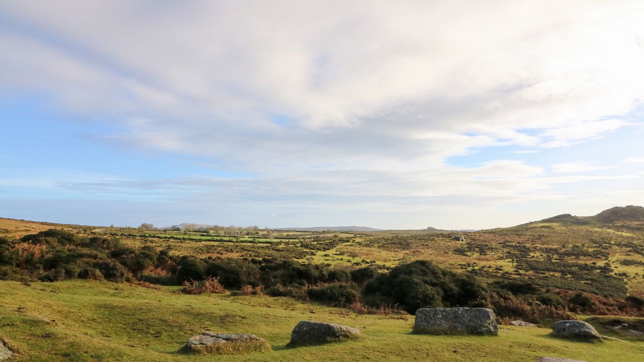 Photo of Others in Dartmoor Forest
