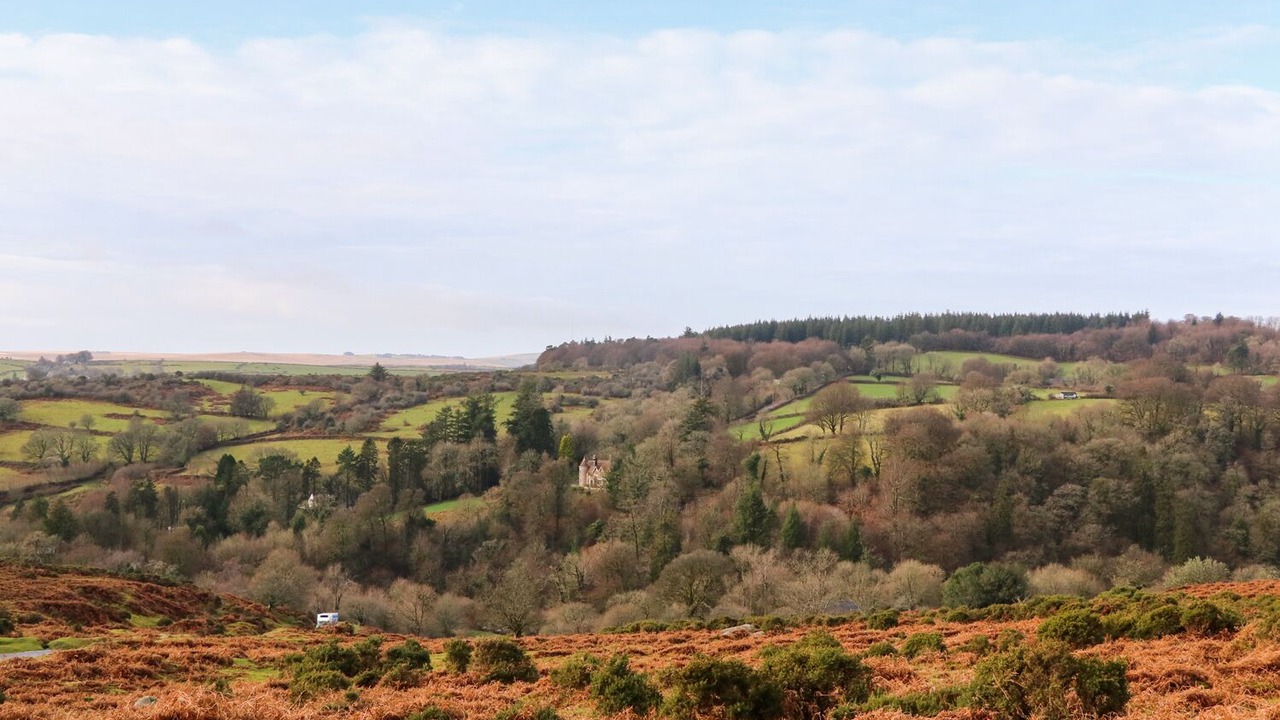 Photo of Others in Dartmoor Forest
