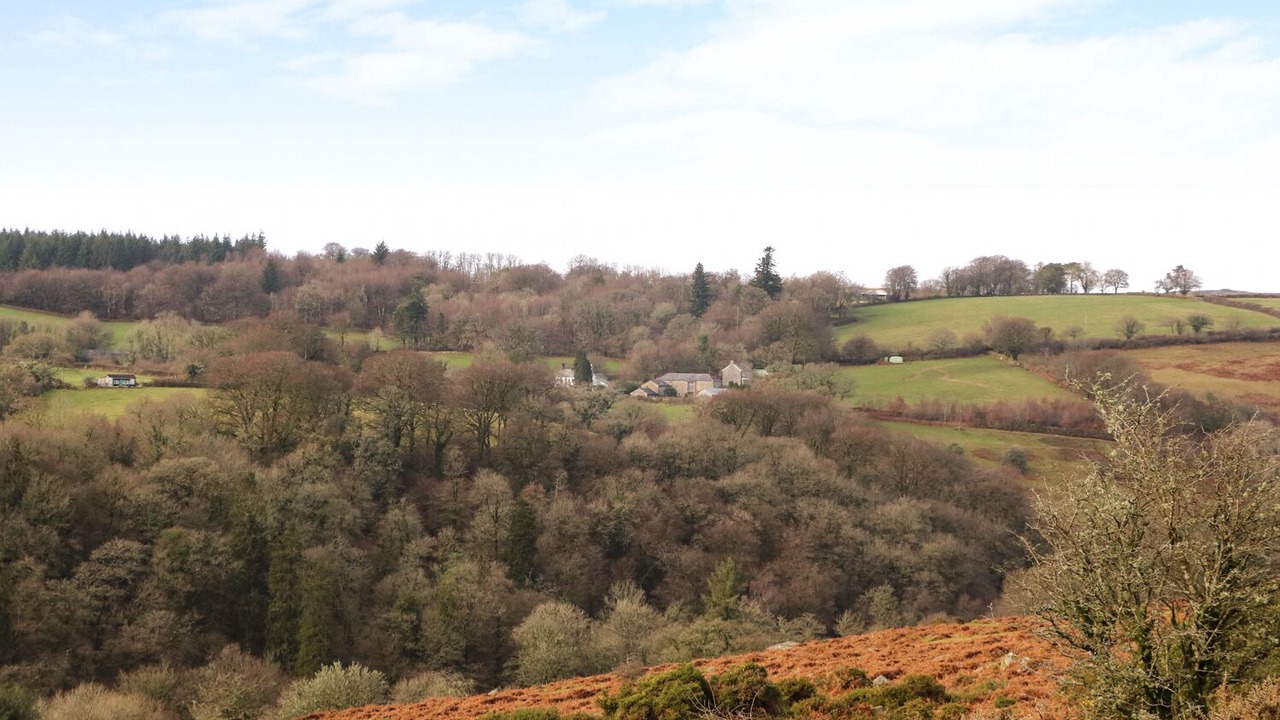 Photo of Others in Dartmoor Forest