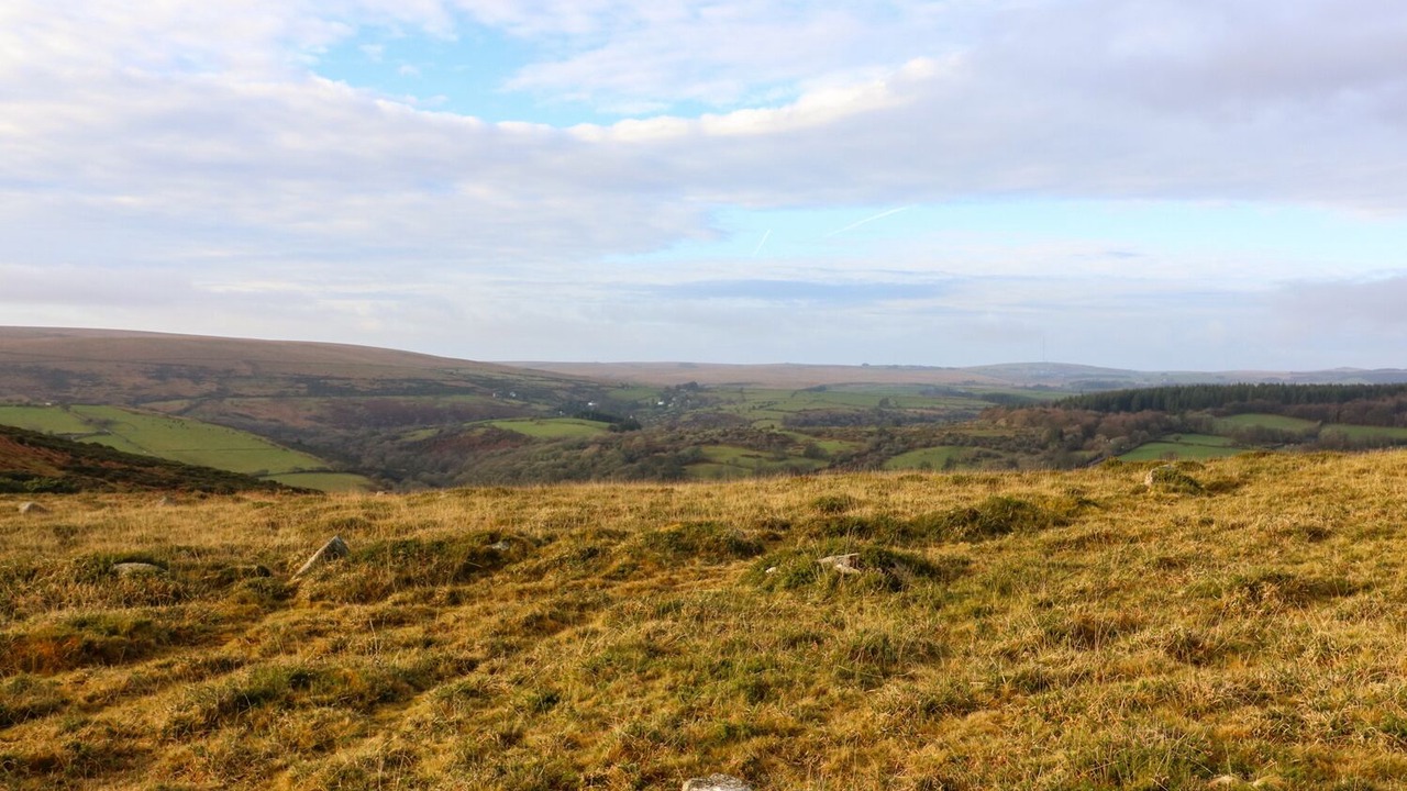 Photo of Others in Dartmoor Forest