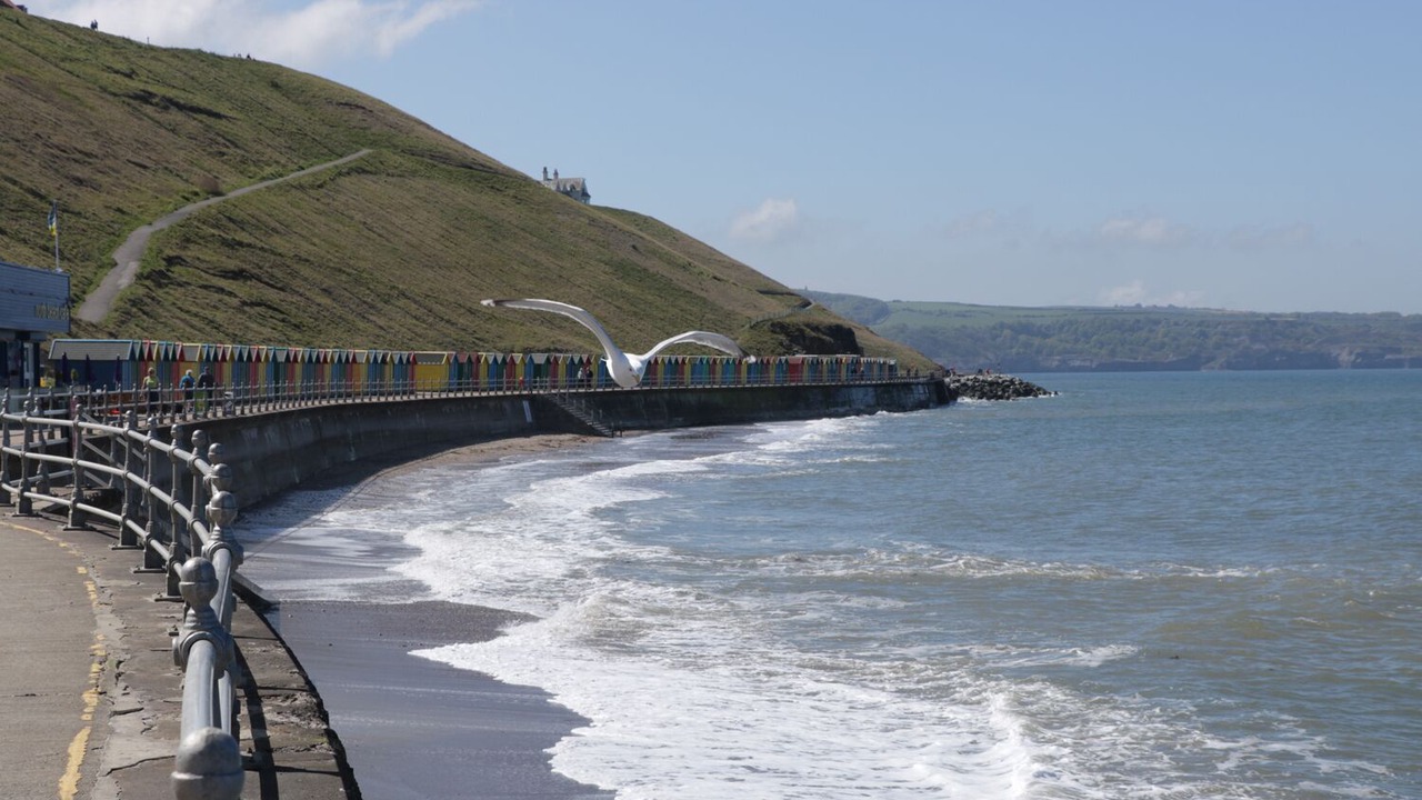 Photo of Others in Ruswarp