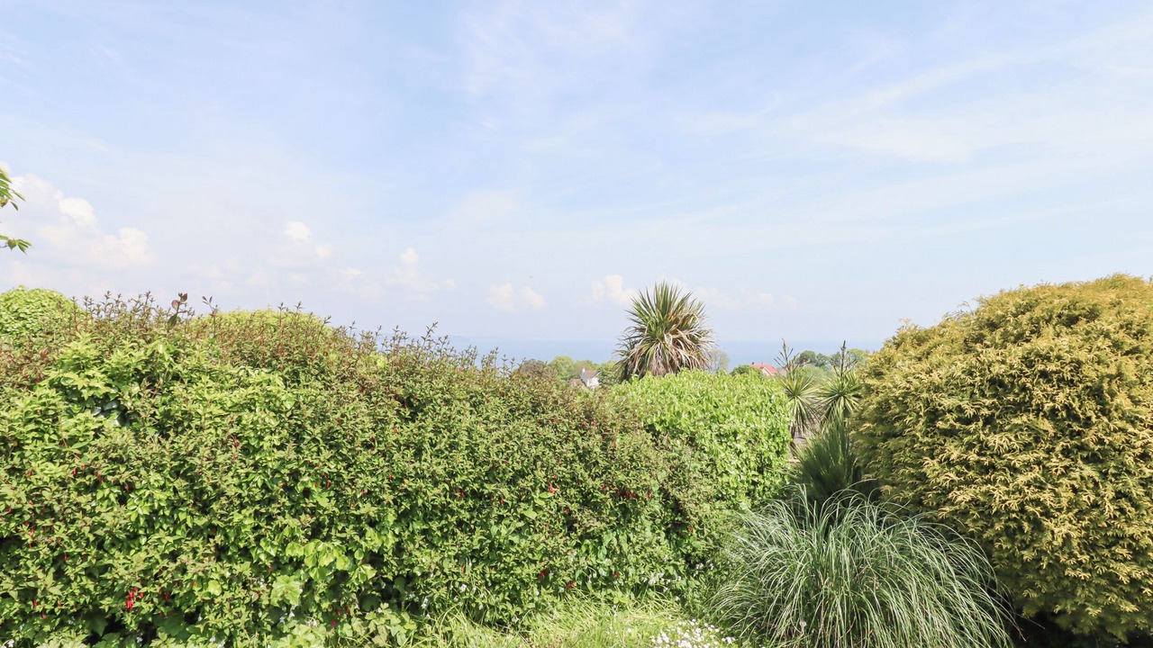 Photo of Others in Babbacombe