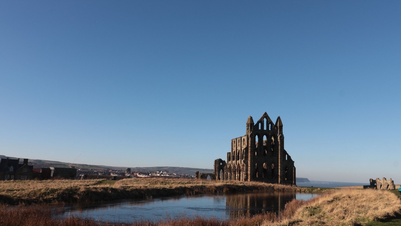 Photo of Others in Ruswarp