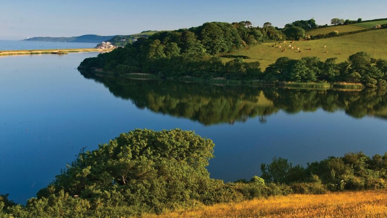 Photo of Others in Slapton