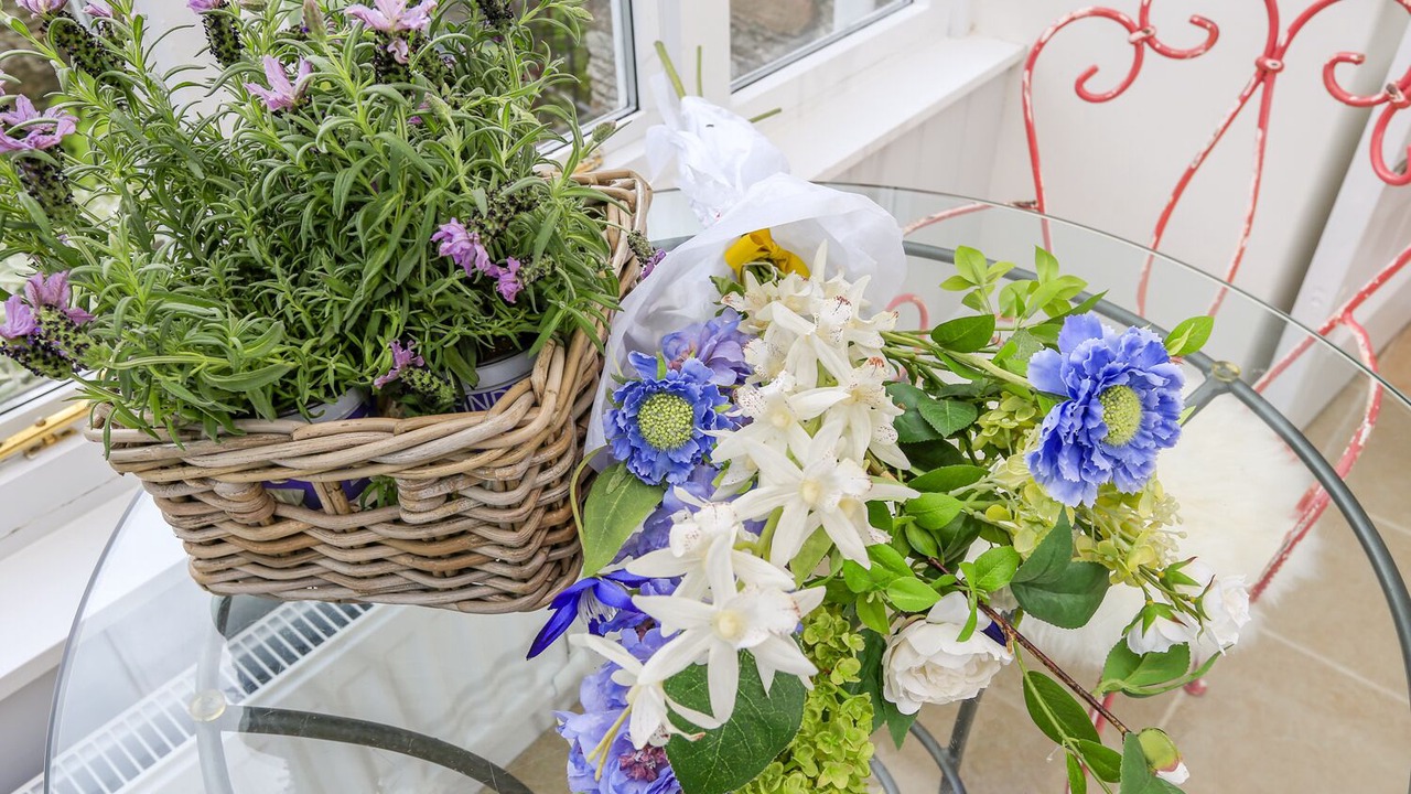 Photo of Others in Slapton