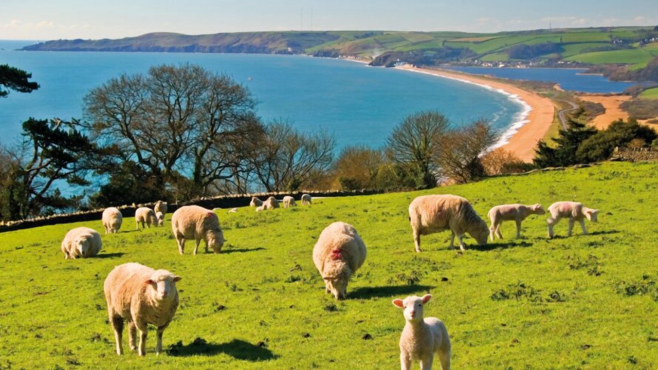 Photo of Others in Slapton