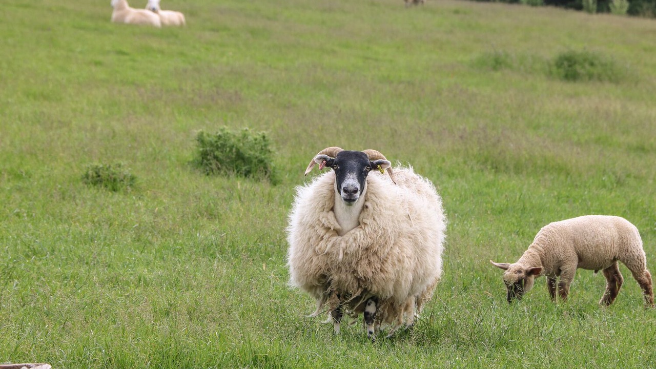 Photo of Others in Grampound