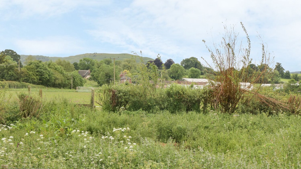 Photo of Others in Blandford Forum