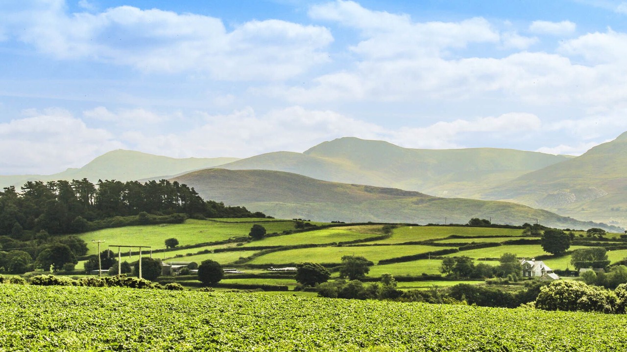Photo of Others in Brynrefail