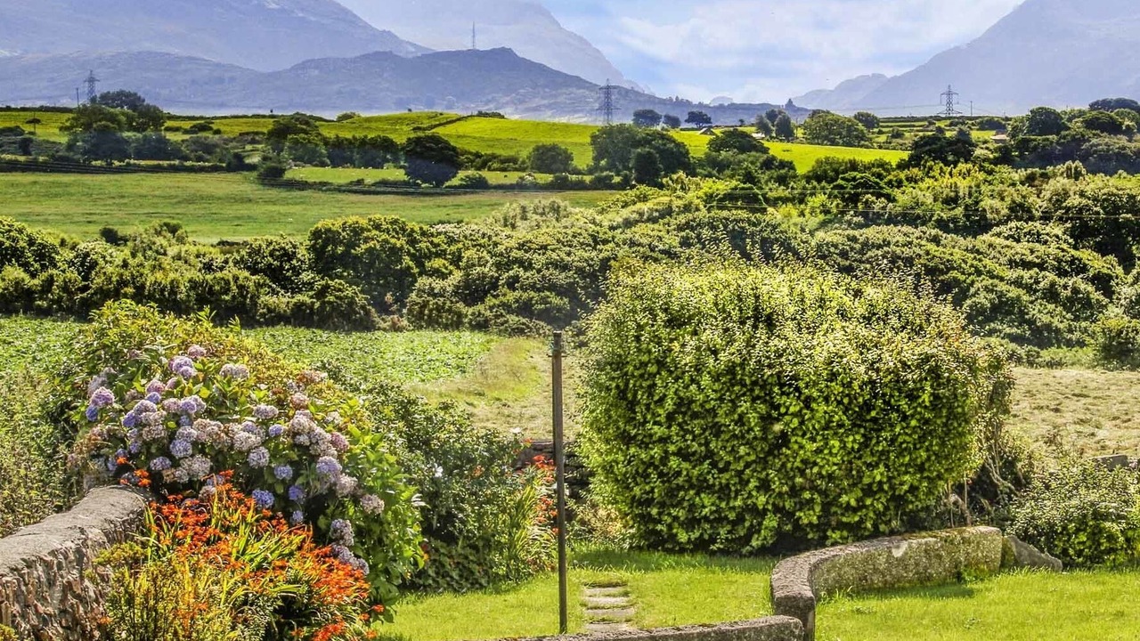 Photo of Others in Brynrefail